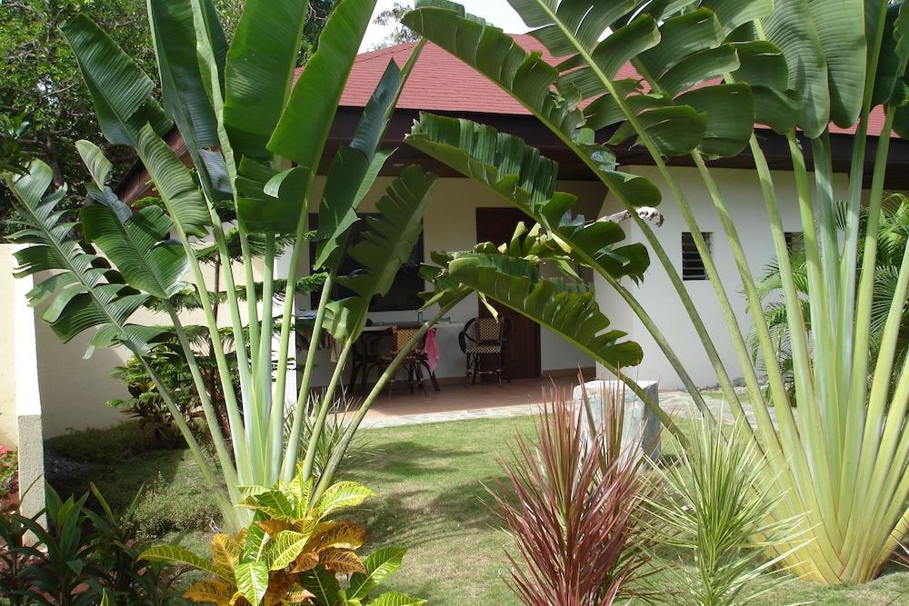 Alona Swiss Resort Panglao Dış mekan fotoğraf