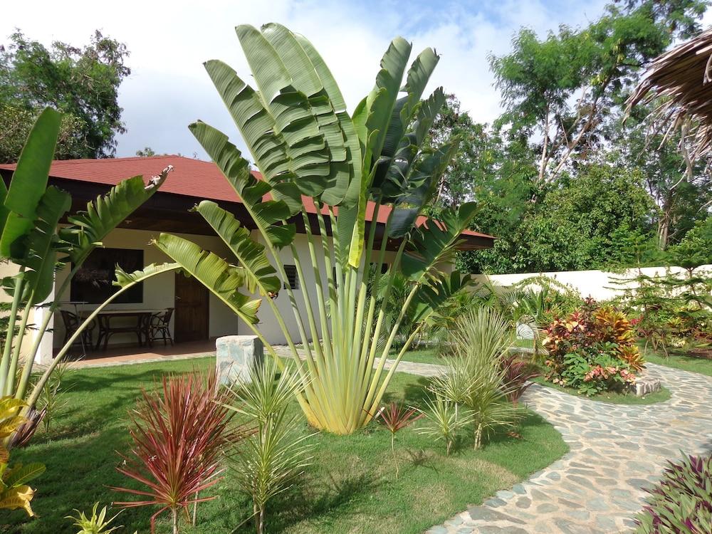 Alona Swiss Resort Panglao Dış mekan fotoğraf